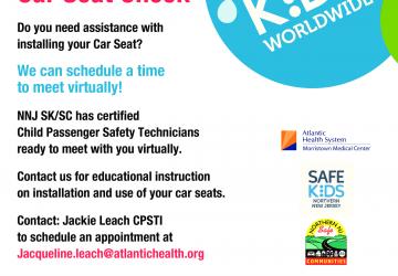 virtual car seat check