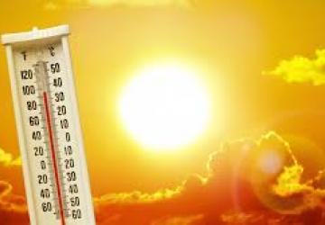 Exertional Heat Illness Fatalities: Causation and Prevention